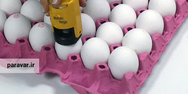 بازاریابی تخم مرغ - شناسنامه دار کردن