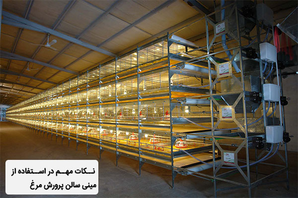 نکات مهم در استفاده از مینی سالن پرورش مرغ