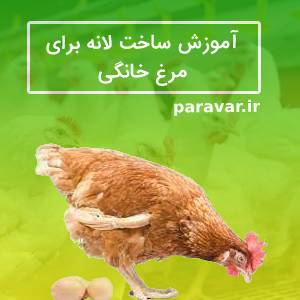 آموزش ساخت لانه برای مرغ خانگی