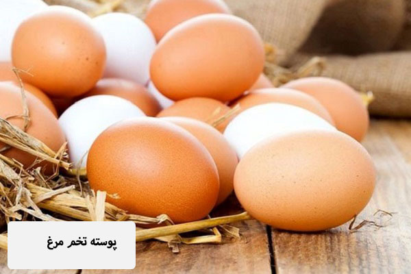 کلسیم مورد نیاز مرغ های تخمگذار
